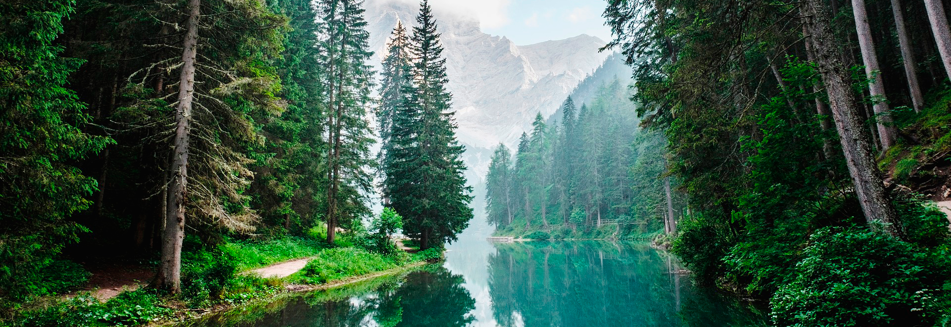 WildPlanet Wayanad Blog