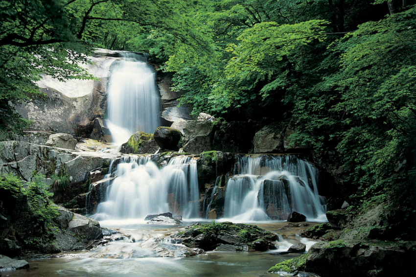 waterfalls in wayanad