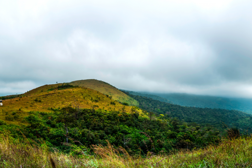 mountains of wayanad