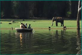 resorts in wayanad