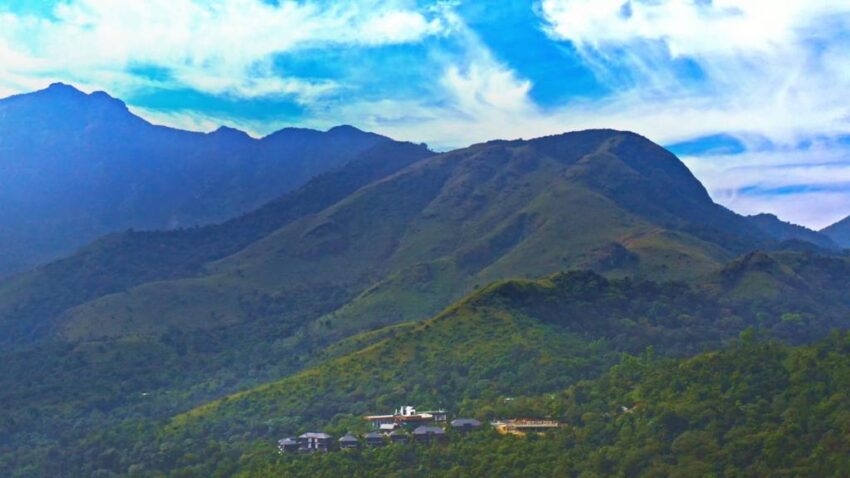 Wild Planet Bana Heights